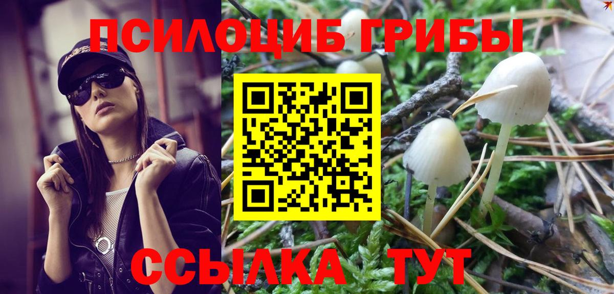 Галлюциногенные грибы GOLDEN TEACHER  Вход с VPN  Калуга 