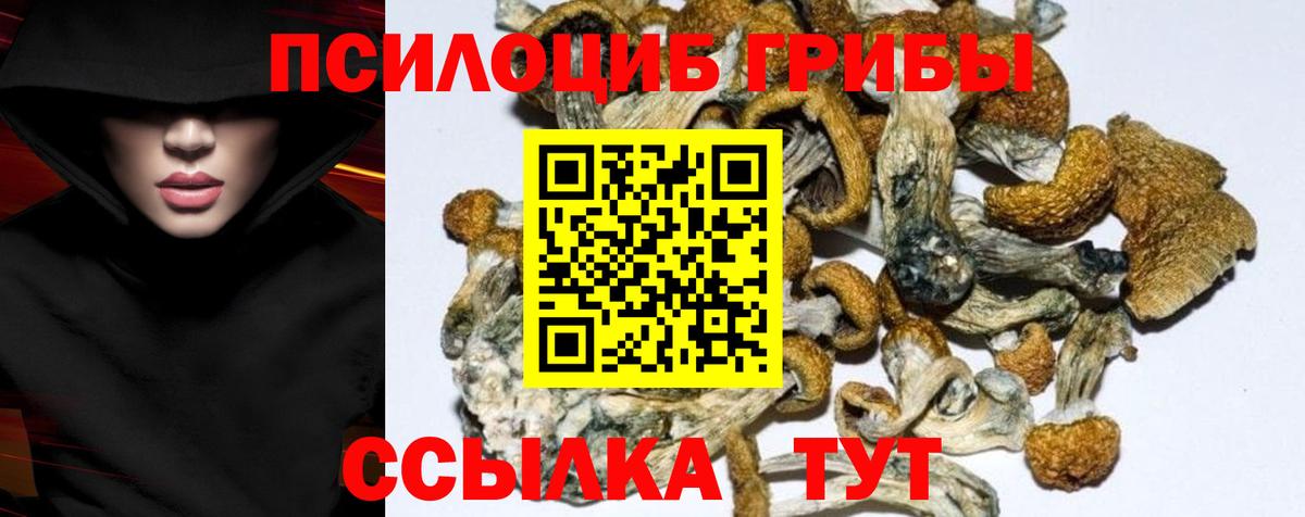 Галлюциногенные грибы мухоморы Калуга